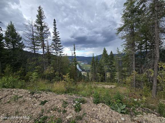 20 Acres of Land for Sale in Harrison, Idaho