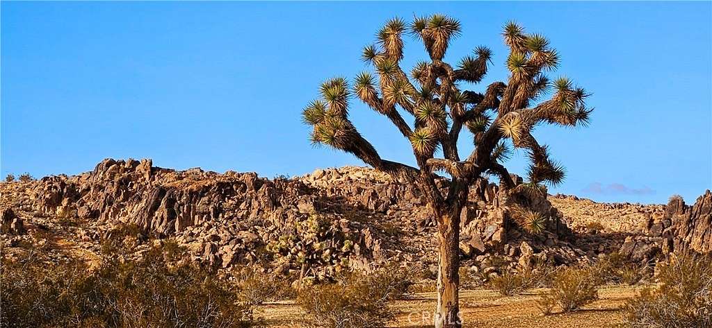 10 Acres of Land for Sale in Adelanto, California