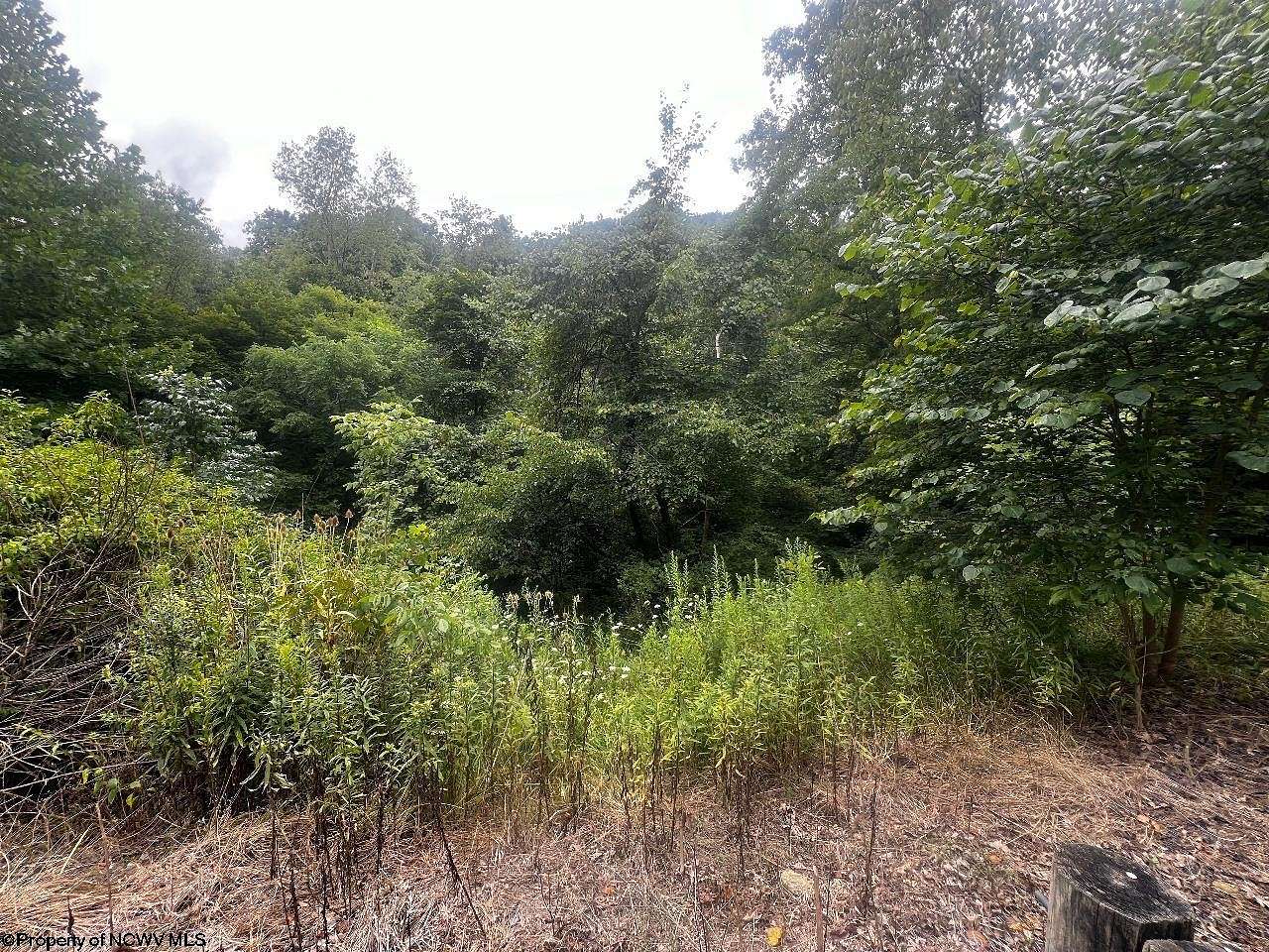 7.89 Acres of Residential Land for Sale in Morgantown, West Virginia