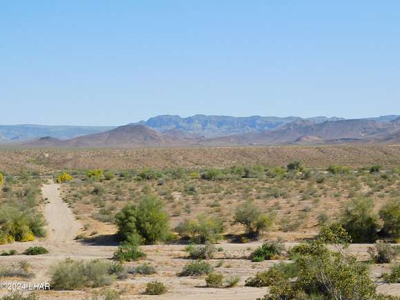 53.9 Acres of Agricultural Land for Sale in Lake Havasu City, Arizona