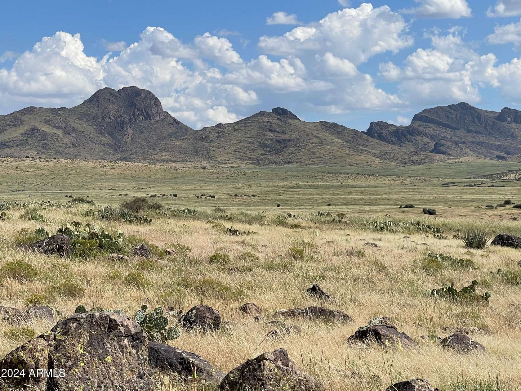 77.8 Acres of Recreational Land for Sale in Wikieup, Arizona