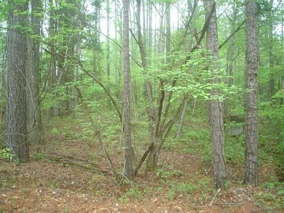 0.5 Acres of Residential Land for Sale in Pine Mountain, Georgia