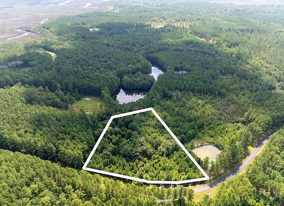 2.89 Acres of Residential Land for Sale in Waverly, Georgia