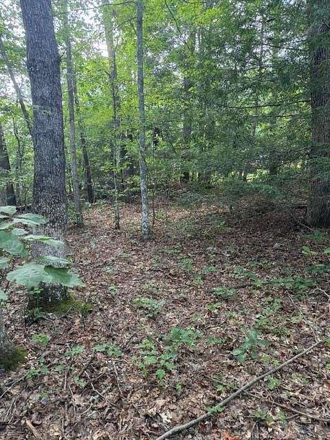 3.2 Acres of Residential Land for Sale in Monterey, Tennessee