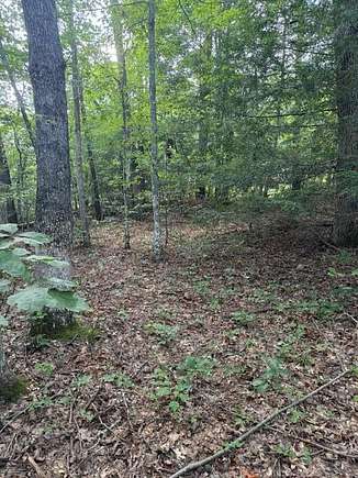 3.2 Acres of Residential Land for Sale in Monterey, Tennessee