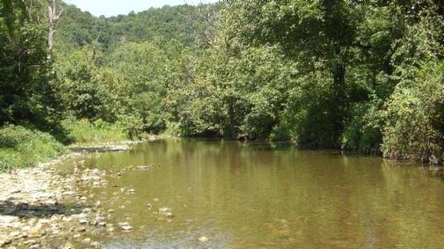 247.31 Acres of Land for Sale in Moss, Tennessee