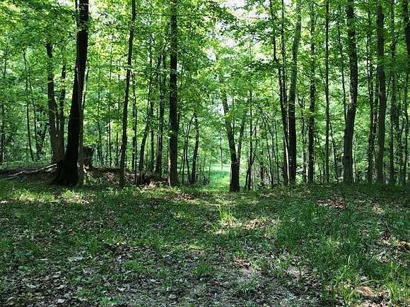 24 Acres of Recreational Land for Sale in Plainwell, Michigan