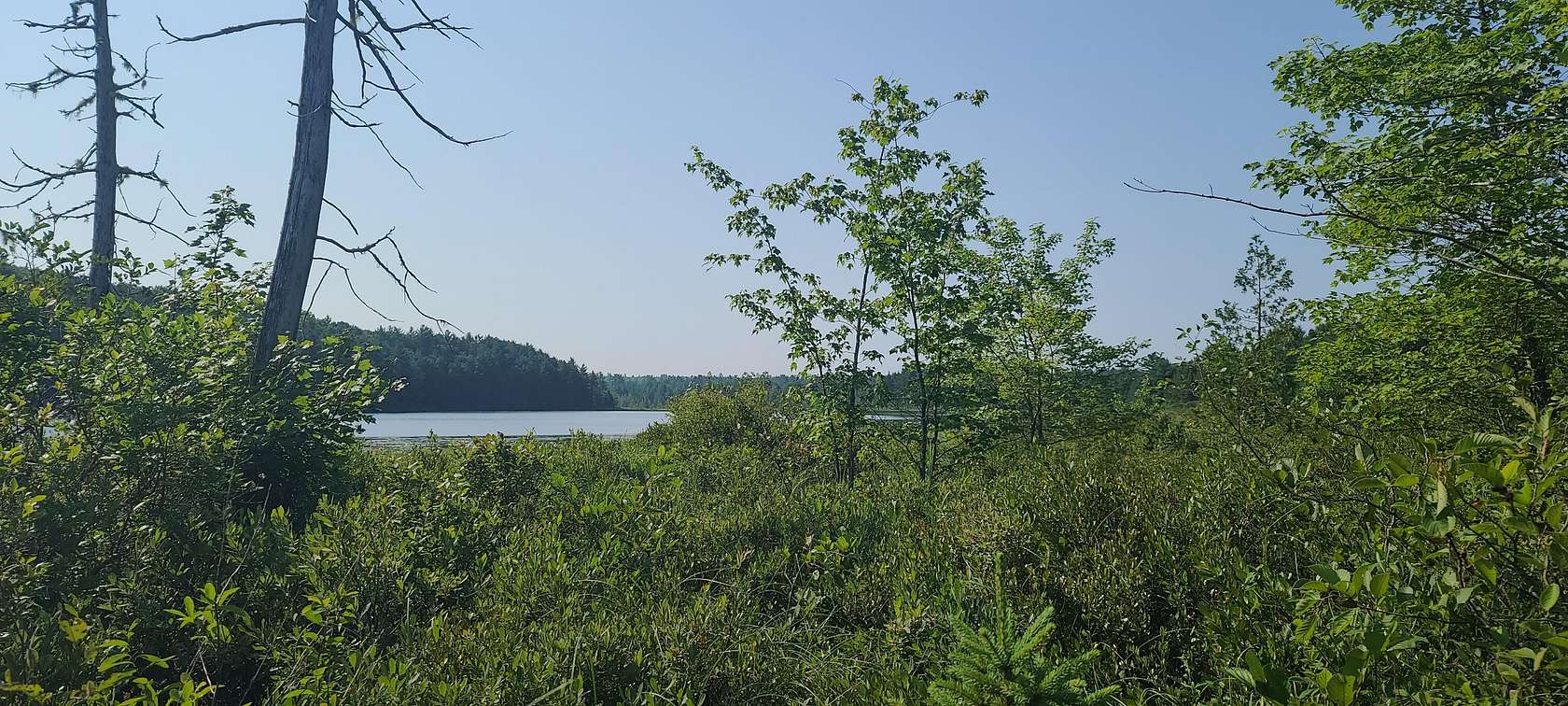 12 Acres of Recreational Land for Sale in Gouldsboro, Maine