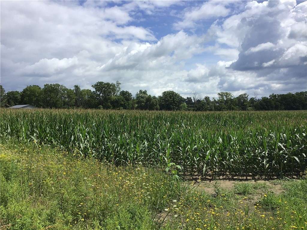 33.7 Acres of Agricultural Land for Sale in Geneseo, New York