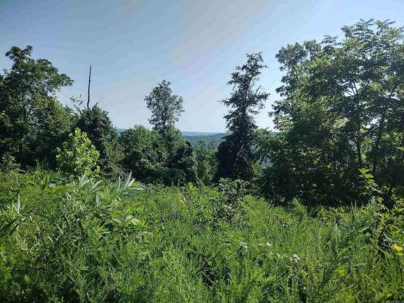 53.34 Acres of Recreational Land for Sale in Mountain View, Arkansas