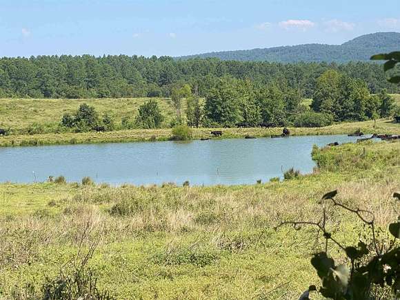 320 Acres of Recreational Land & Farm for Sale in Bonnerdale, Arkansas