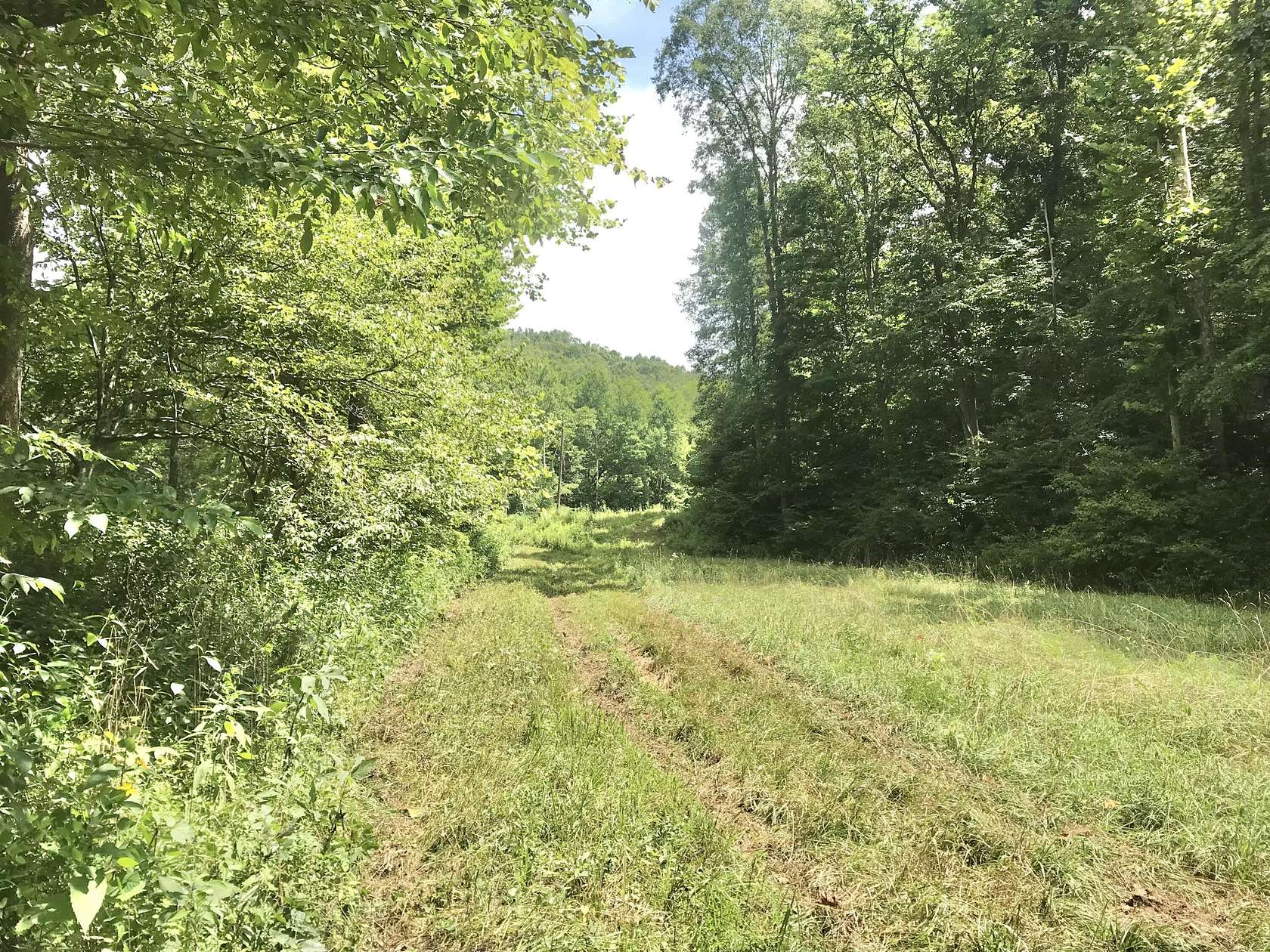 75.5 Acres of Improved Land for Sale in Olive Hill, Kentucky