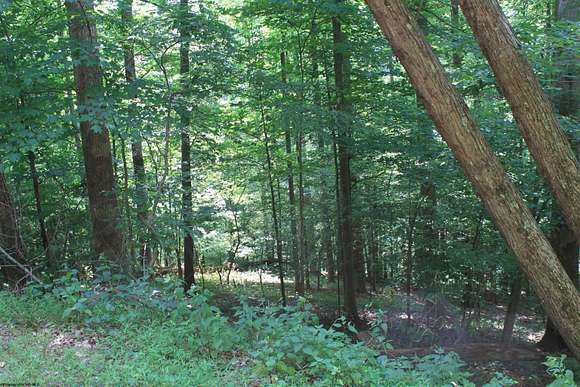 125 Acres of Recreational Land & Farm for Sale in Hacker Valley, West Virginia