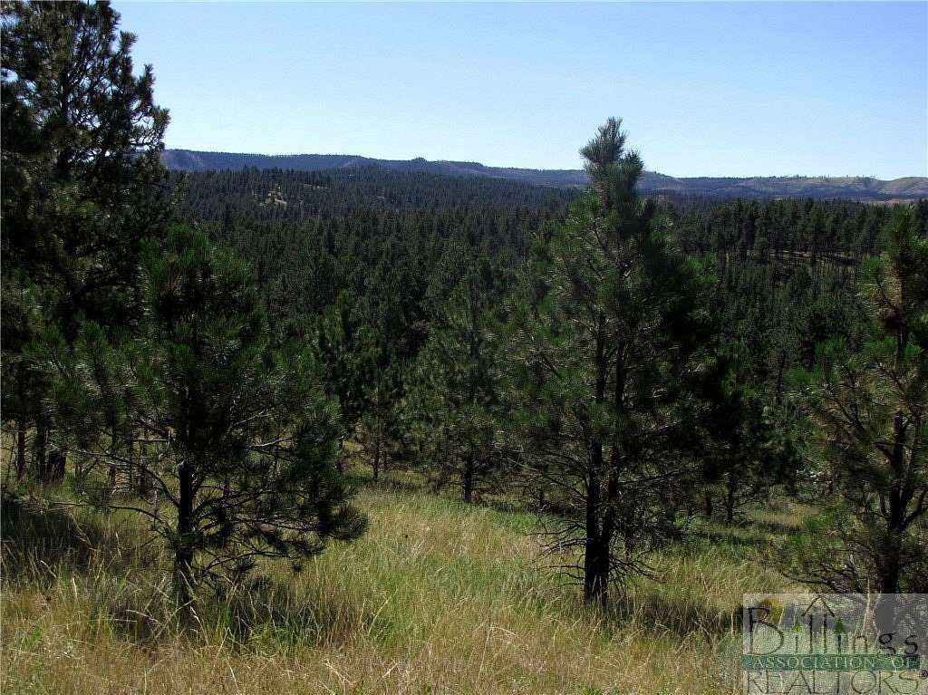 20 Acres of Recreational Land for Sale in Roundup, Montana