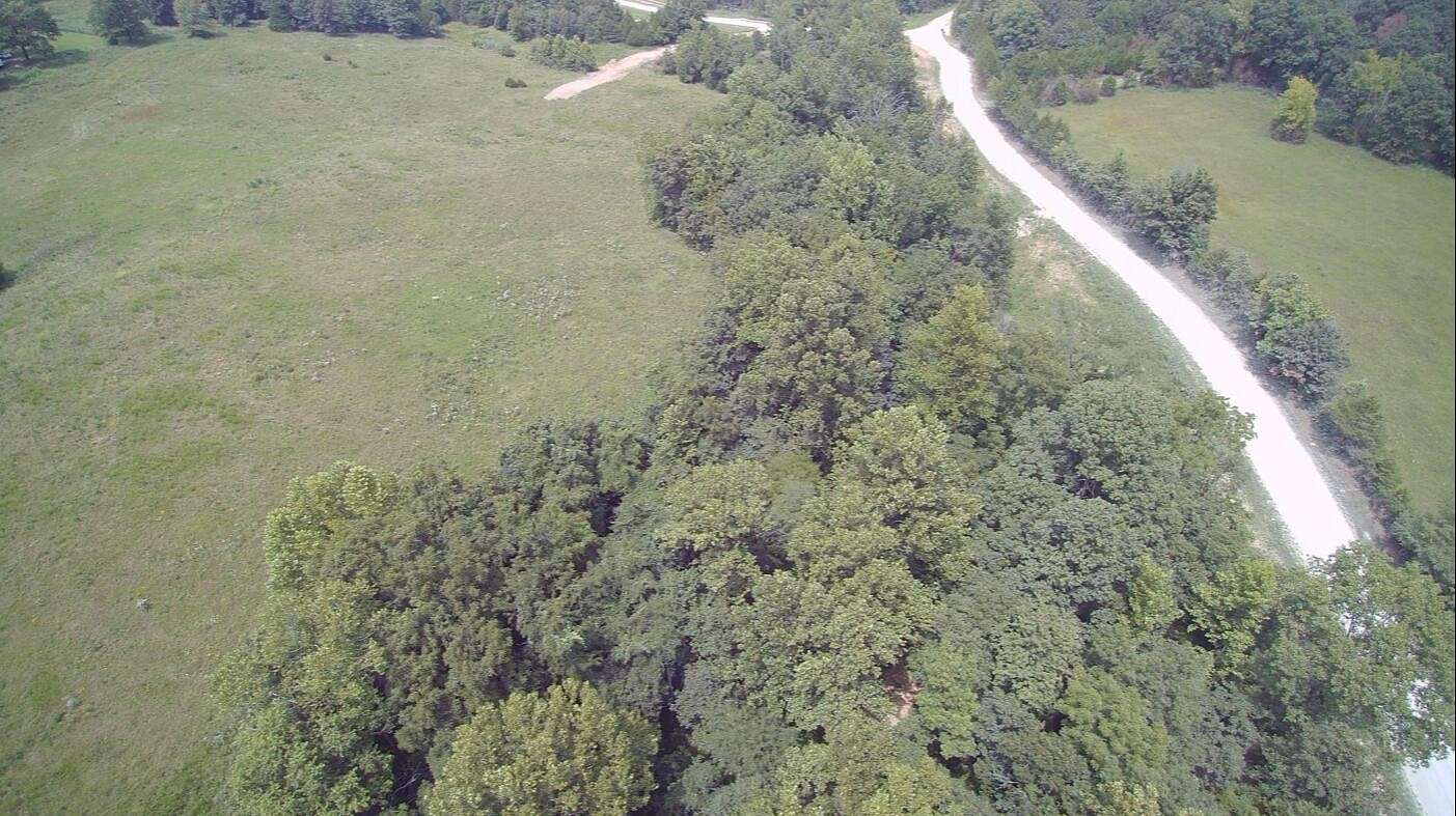 20 Acres of Land for Sale in Fordland, Missouri