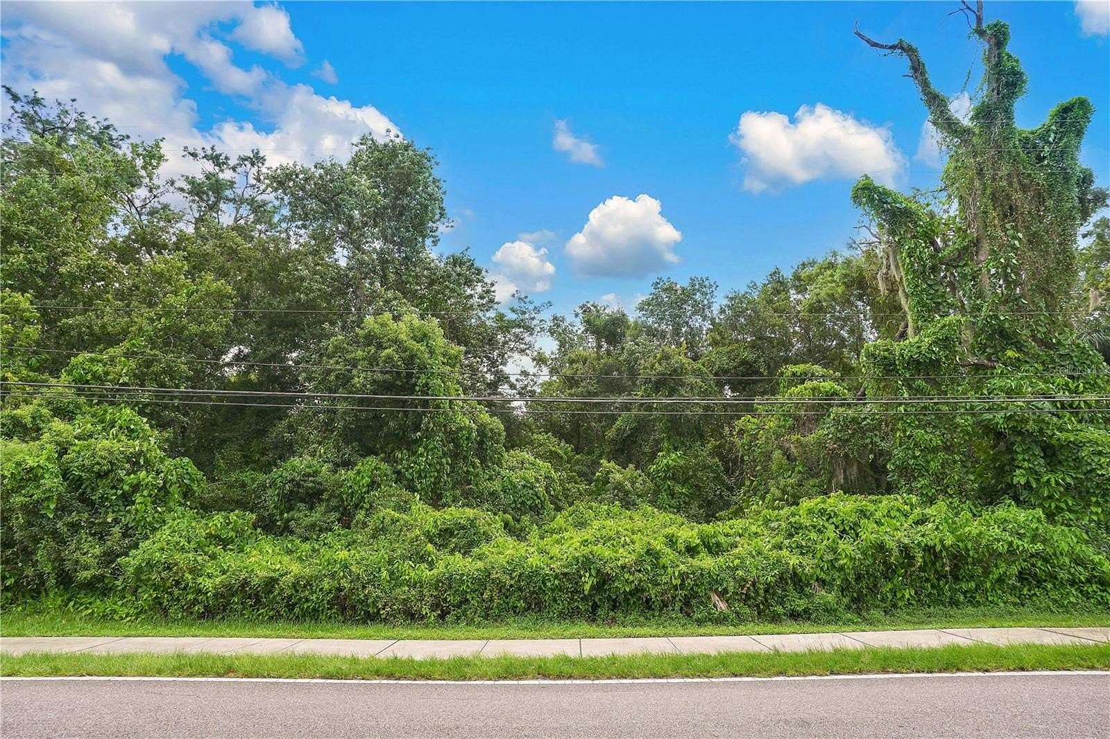 0.7 Acres of Residential Land for Sale in Orlando, Florida