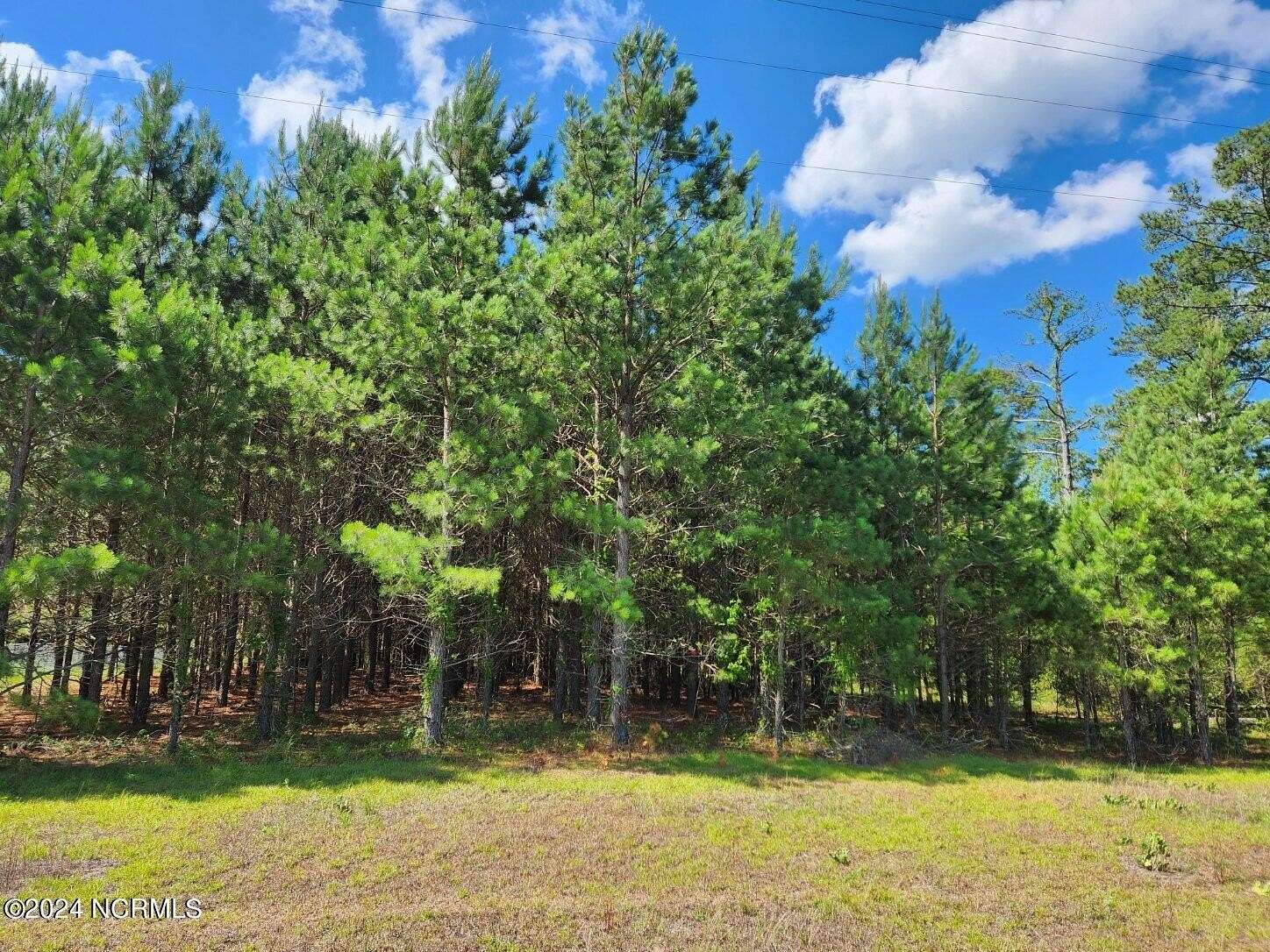 8.06 Acres of Residential Land for Sale in Grifton, North Carolina