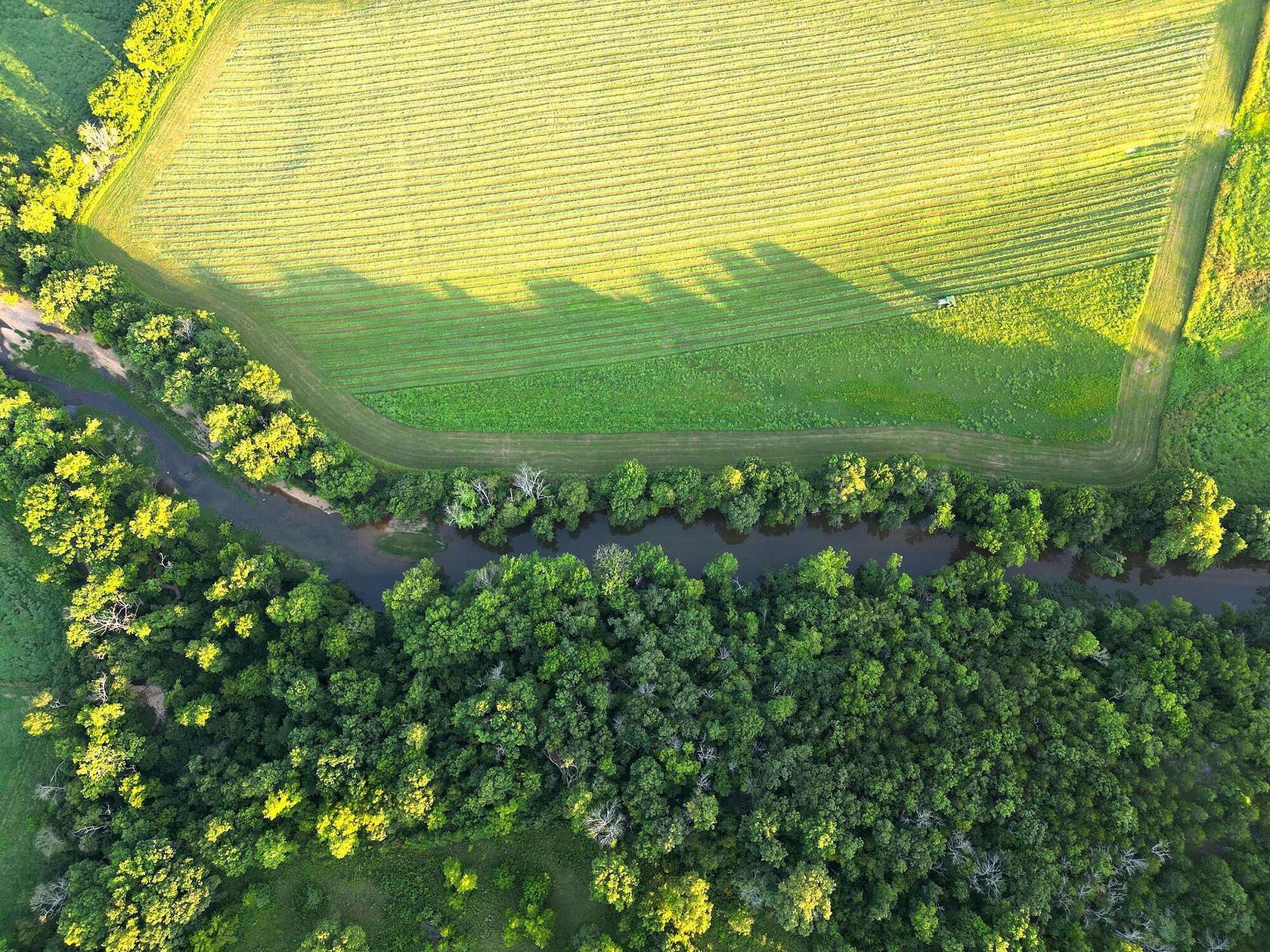 56 Acres of Agricultural Land for Sale in Hartville, Missouri