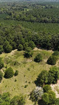 25 Acres of Recreational Land for Sale in Newville, Alabama