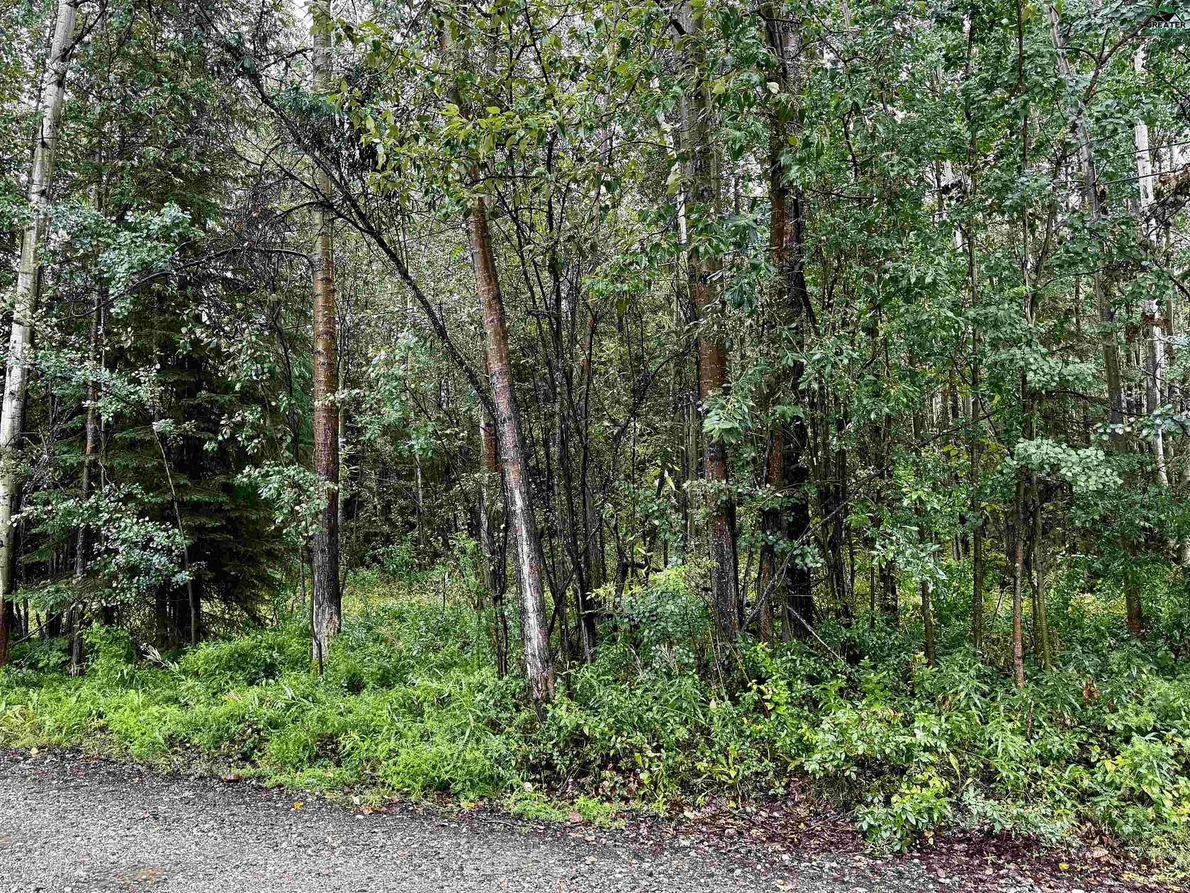 1 Acre of Residential Land for Sale in North Pole, Alaska