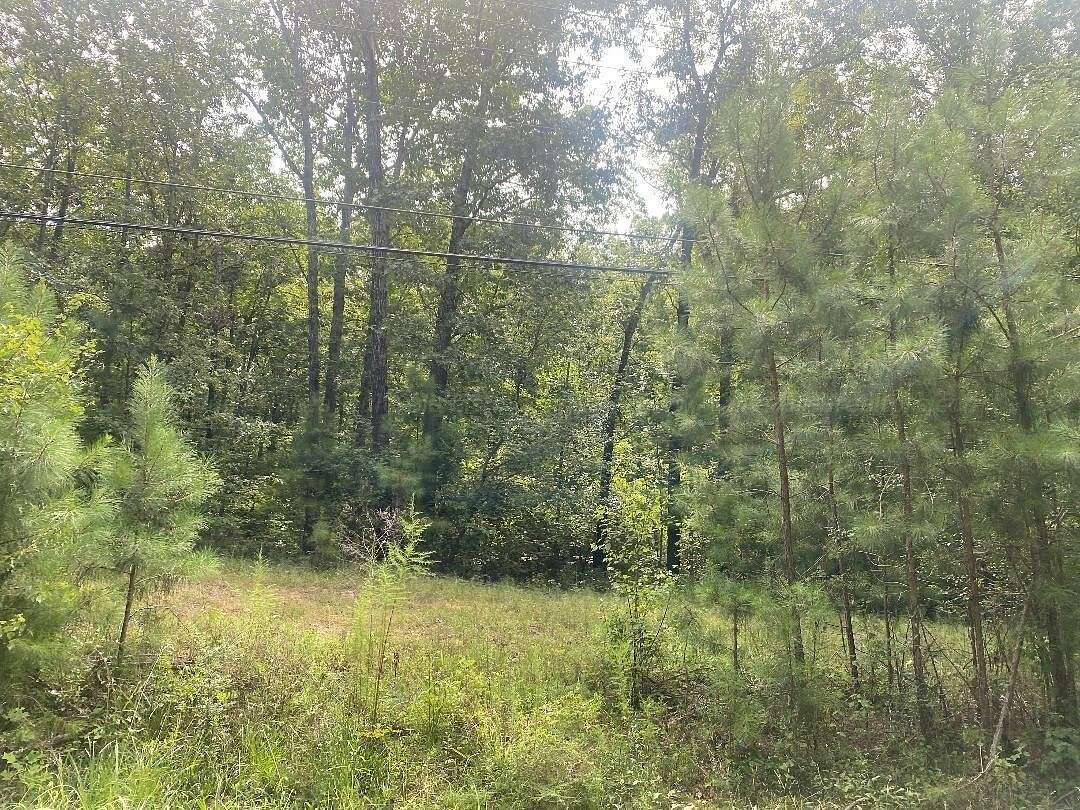 0.7 Acres of Residential Land for Sale in Jasper, Alabama