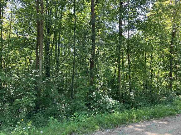 2.39 Acres of Residential Land for Sale in Beaverton, Michigan