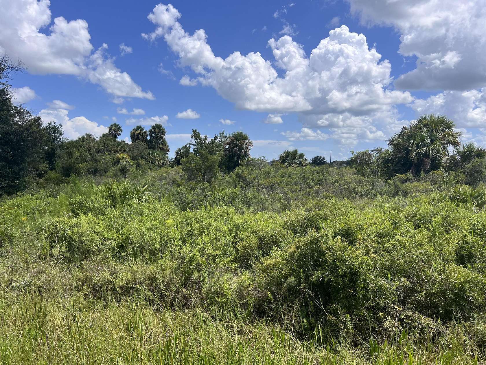 1.25 Acres of Residential Land for Sale in Okeechobee, Florida