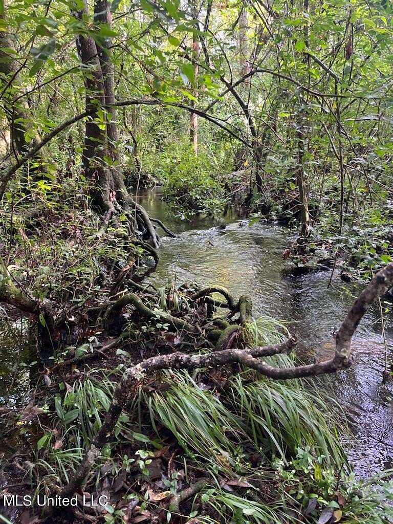 22.6 Acres of Recreational Land for Sale in Lucedale, Mississippi