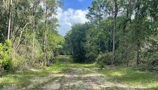 22.6 Acres of Recreational Land for Sale in Lucedale, Mississippi