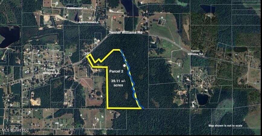 39.11 Acres of Recreational Land for Sale in Lucedale, Mississippi