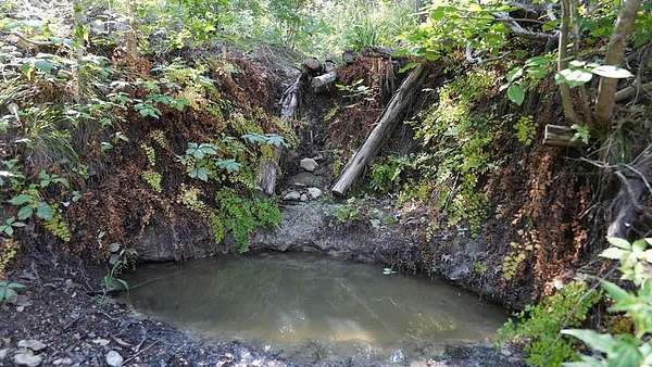 21.3 Acres of Recreational Land for Sale in Medina, Texas