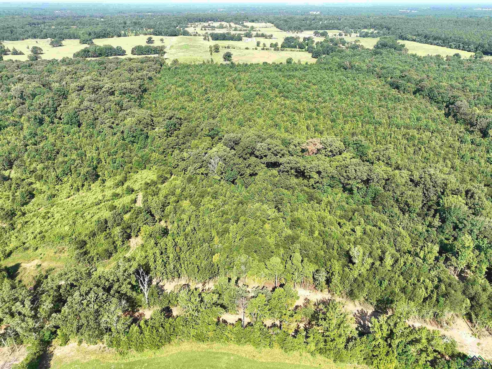 16 Acres of Land for Sale in Gilmer, Texas