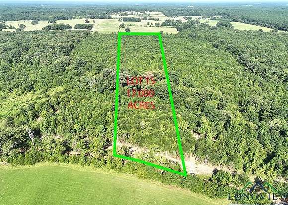 17 Acres of Land for Sale in Gilmer, Texas