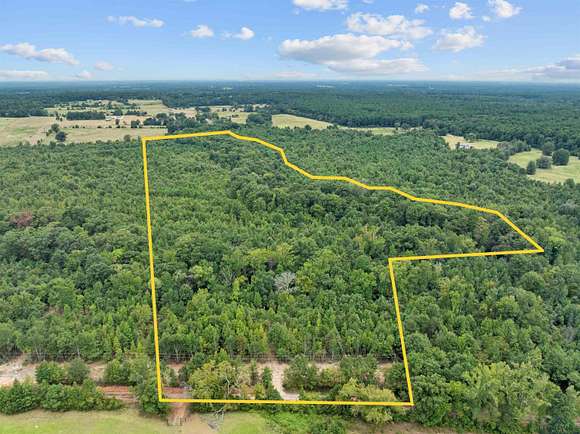 31.431 Acres of Recreational Land for Sale in Gilmer, Texas