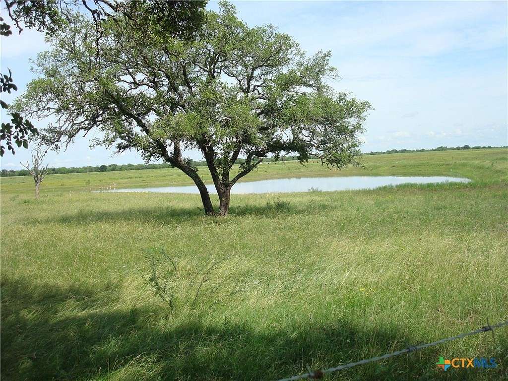 50 Acres of Recreational Land & Farm for Sale in Seguin, Texas