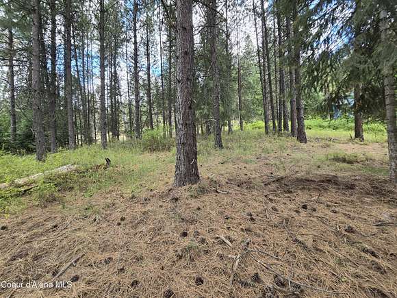 0.89 Acres of Land for Sale in St. Maries, Idaho