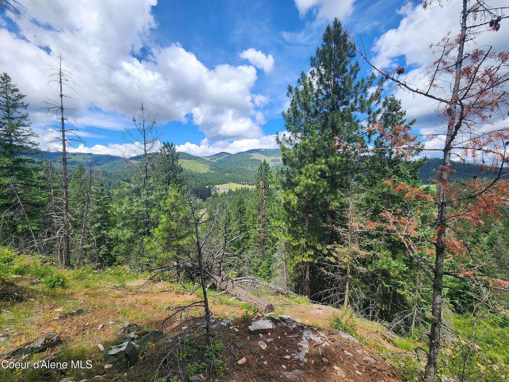 40 Acres of Recreational Land for Sale in Coeur d'Alene, Idaho