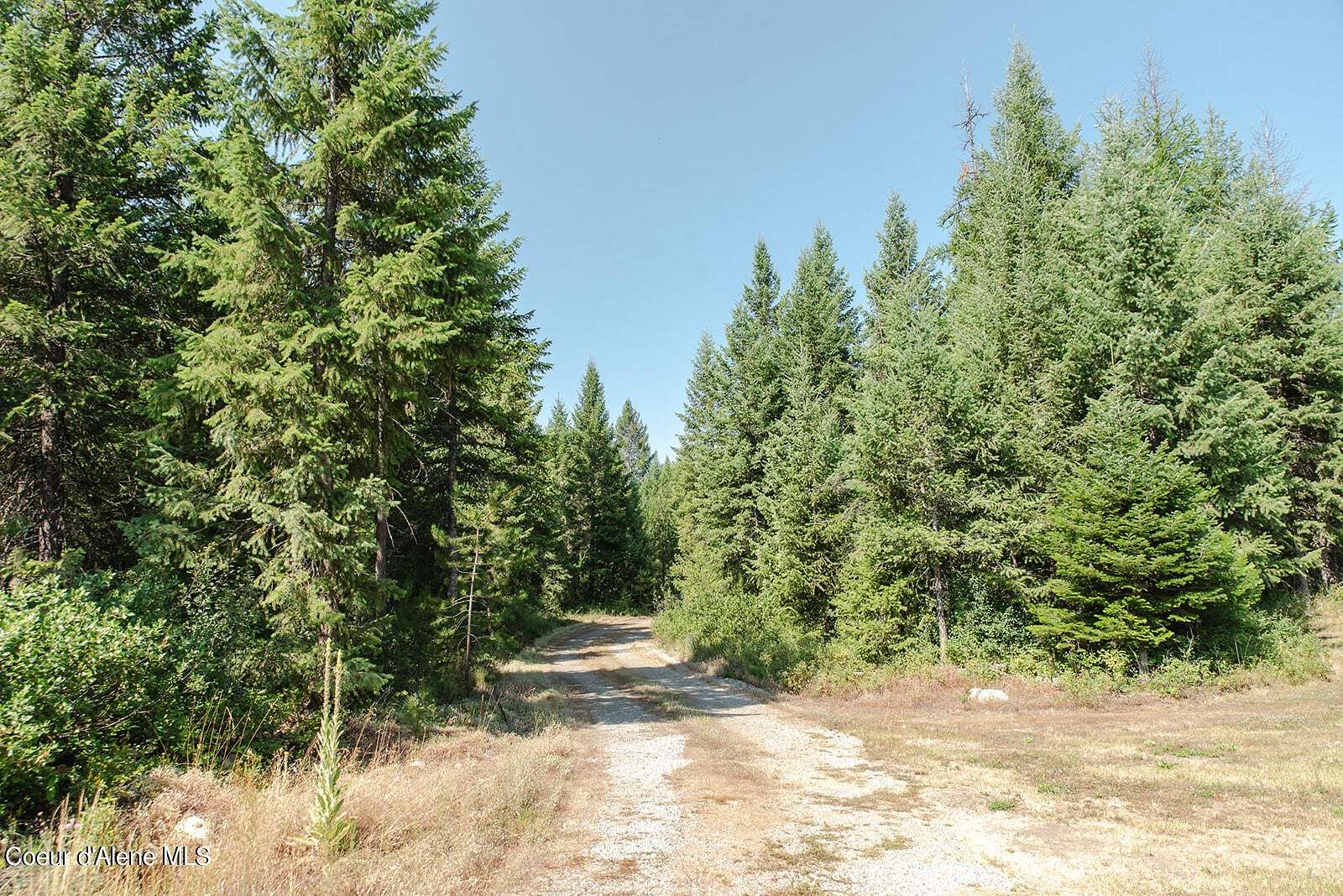 7.05 Acres of Improved Residential Land for Sale in Spirit Lake, Idaho