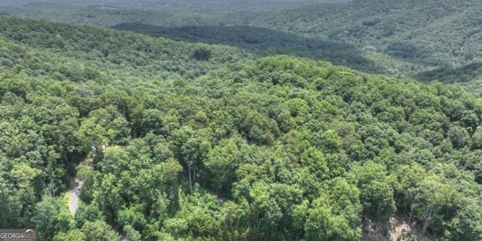 1 Acre of Land for Sale in Cherry Log, Georgia