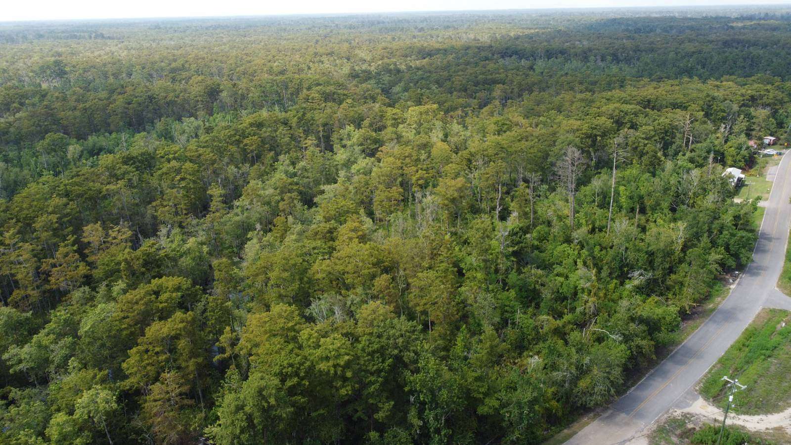 15.23 Acres of Recreational Land for Sale in Maurepas, Louisiana