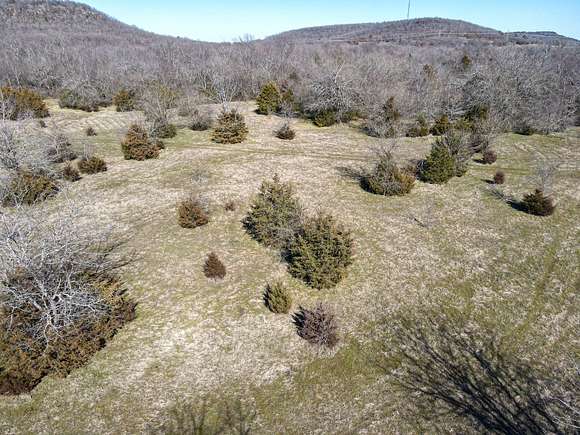 75.55 Acres of Recreational Land for Sale in Hartshorne, Oklahoma