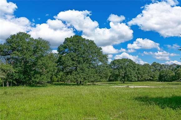 5 Acres of Residential Land for Sale in Navasota, Texas