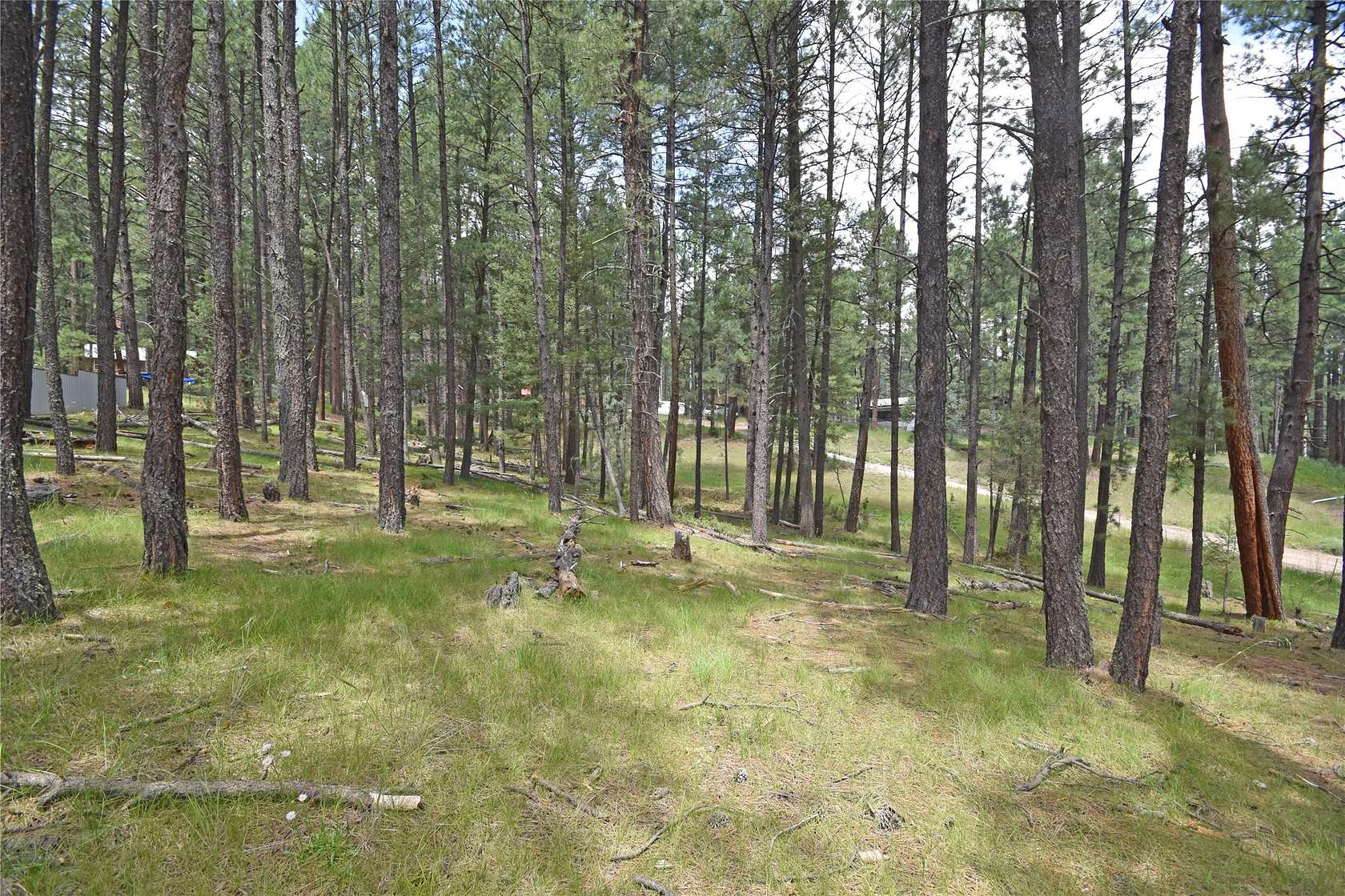 1.16 Acres of Residential Land for Sale in Jemez Springs, New Mexico