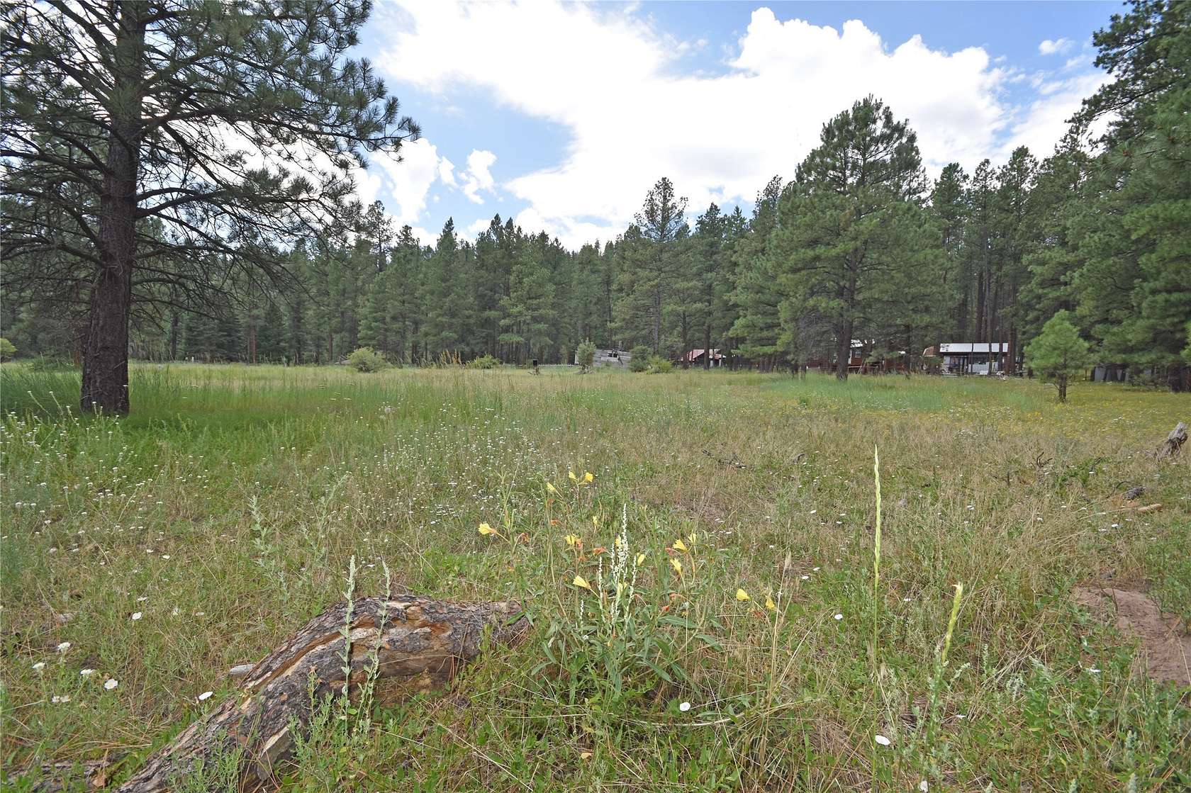 0.59 Acres of Residential Land for Sale in Jemez Springs, New Mexico