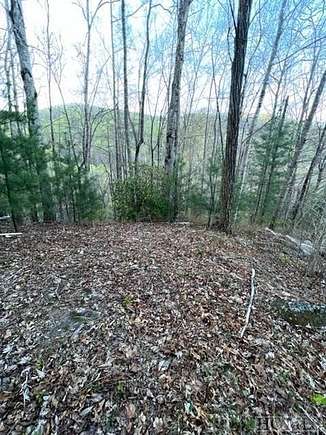 Land for Sale in Franklin, North Carolina