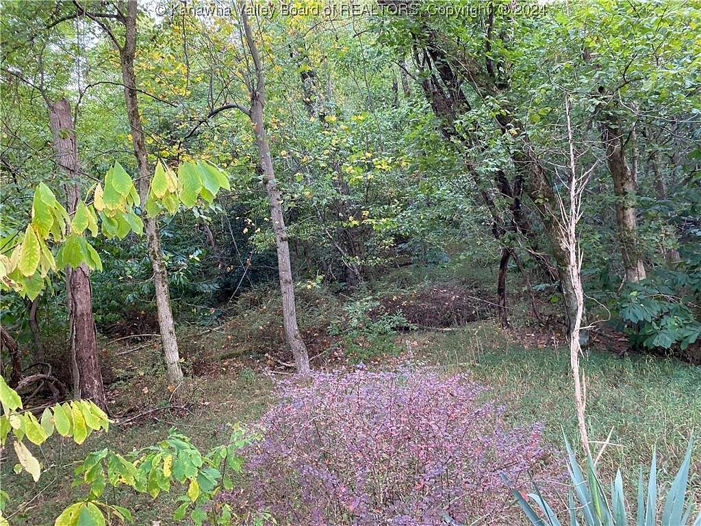 1.2 Acres of Land for Sale in Ripley, West Virginia