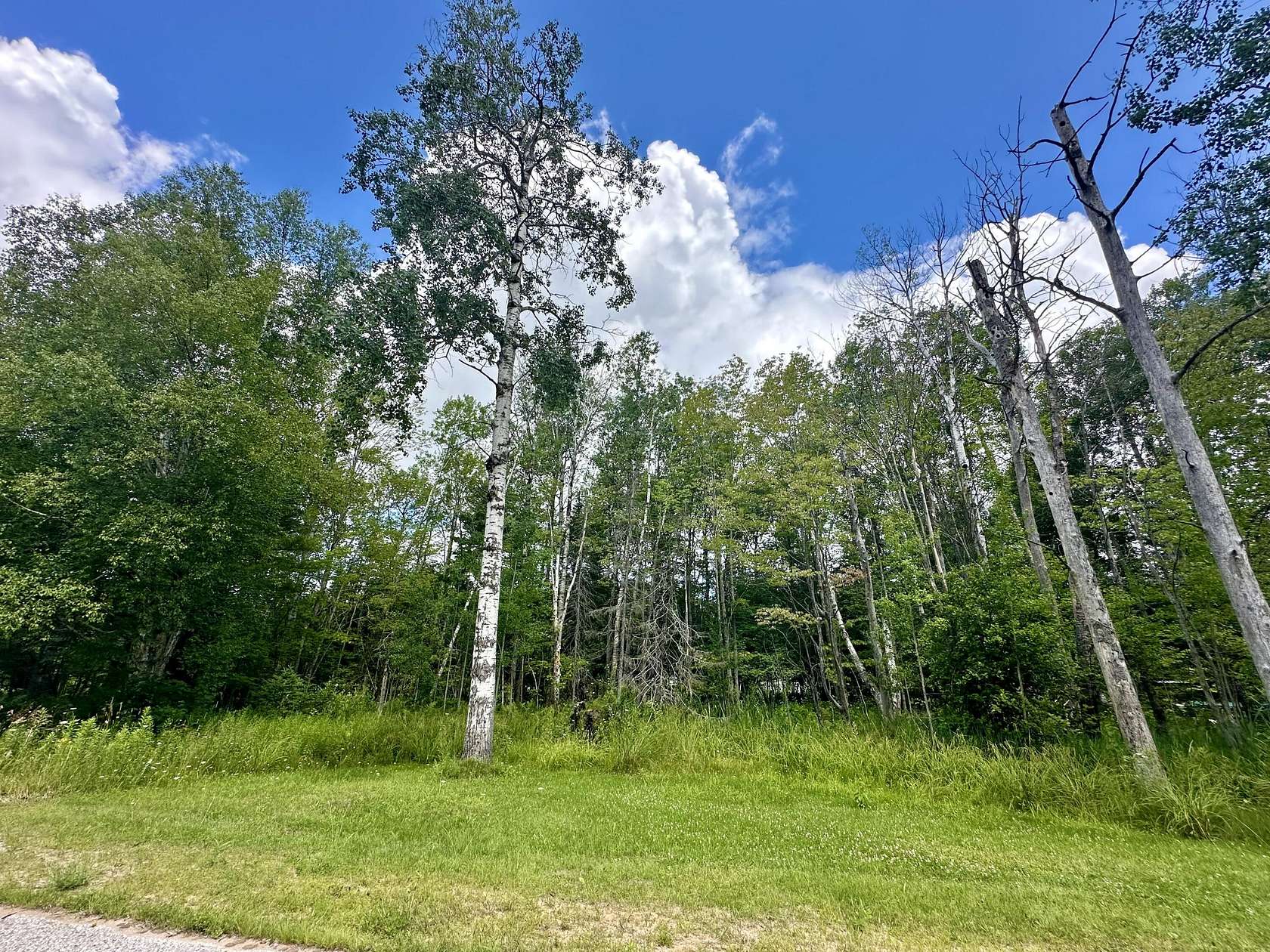 Residential Land for Sale in Trout Lake, Michigan