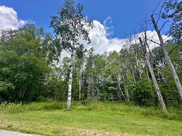 Residential Land for Sale in Trout Lake, Michigan