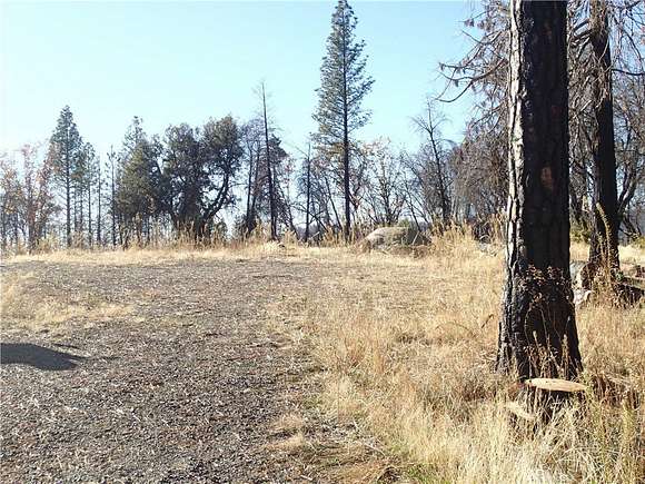 10.32 Acres of Land for Sale in Berry Creek, California