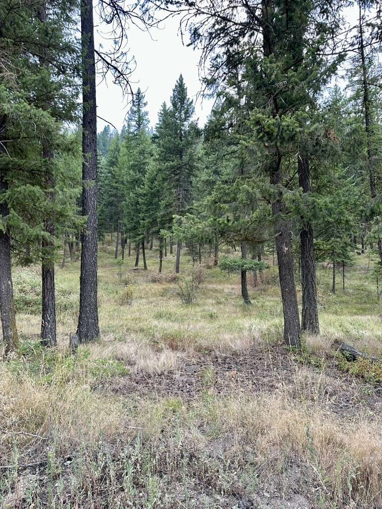 23 Acres of Recreational Land & Farm for Sale in Superior, Montana